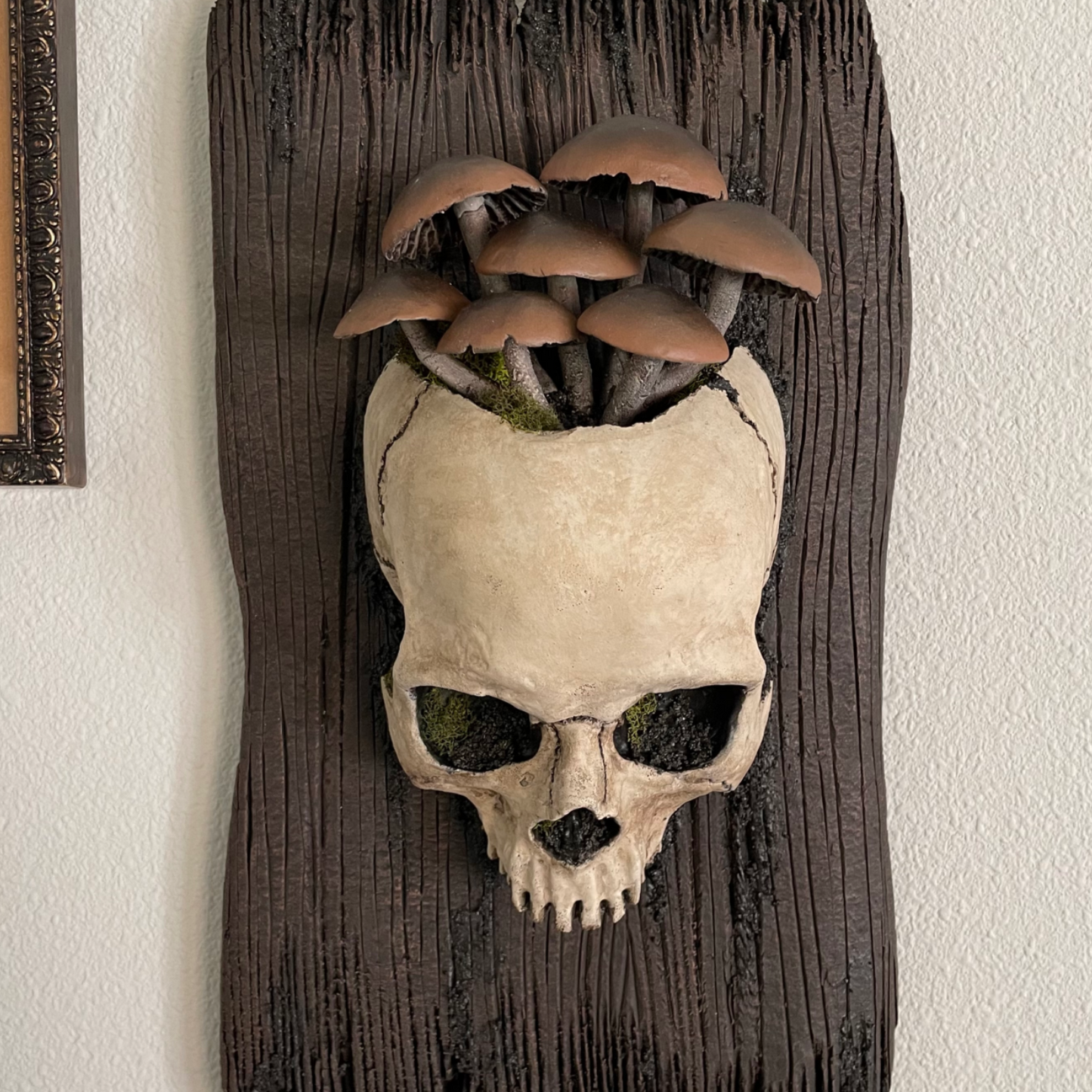Fungi Skull Plaque [Brown]