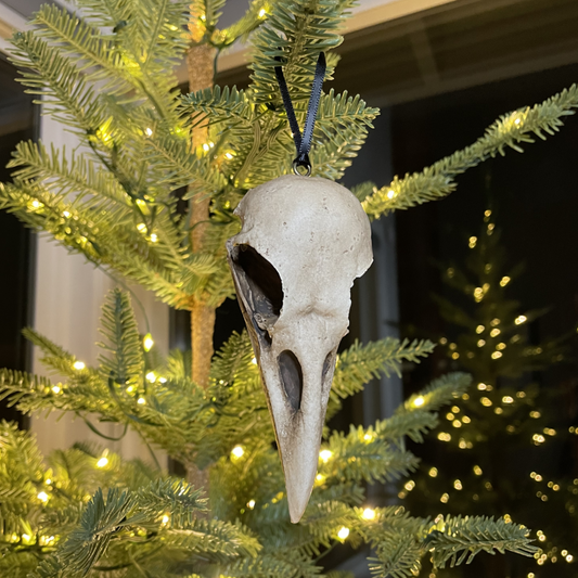 Corvus Skull
