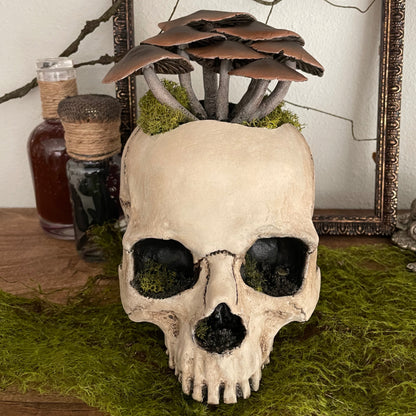 Fungi Skull