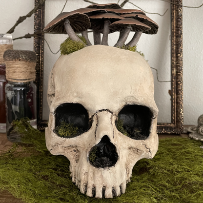 Fungi Skull