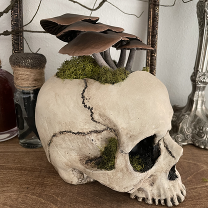 Fungi Skull