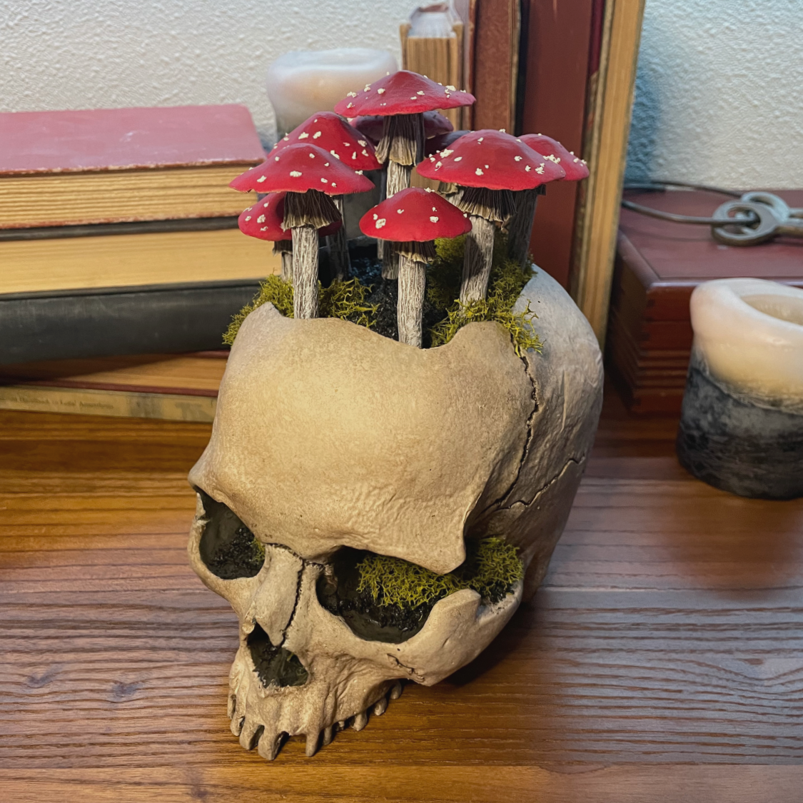 Fungi Fairy Ring Skull [Red]