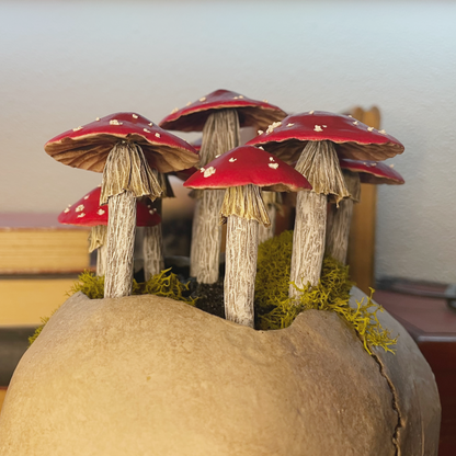 Fungi Fairy Ring Skull [Red]