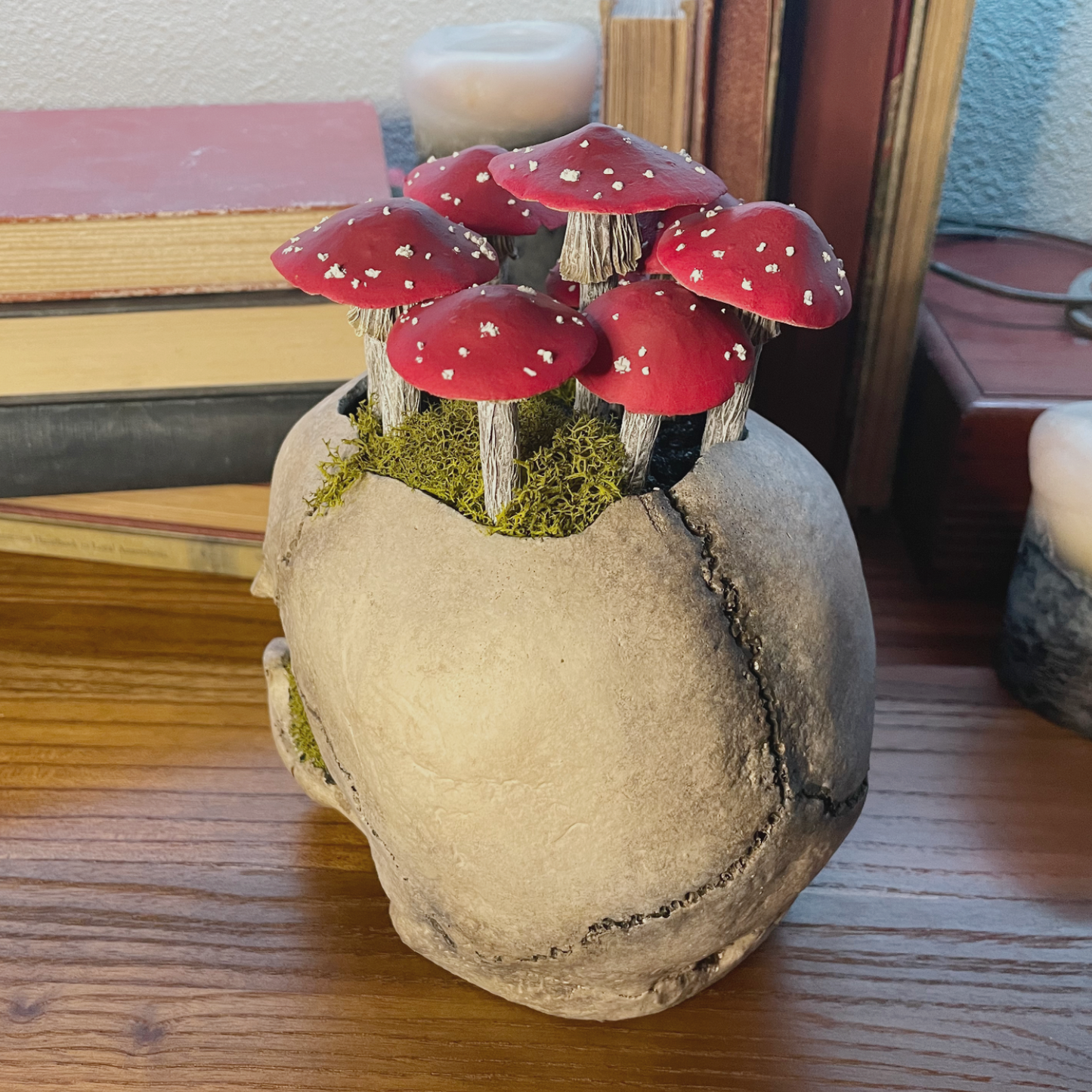 Fungi Fairy Ring Skull [Red]