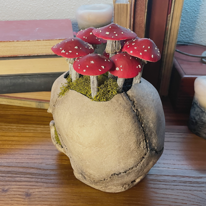 Fungi Fairy Ring Skull [Red]