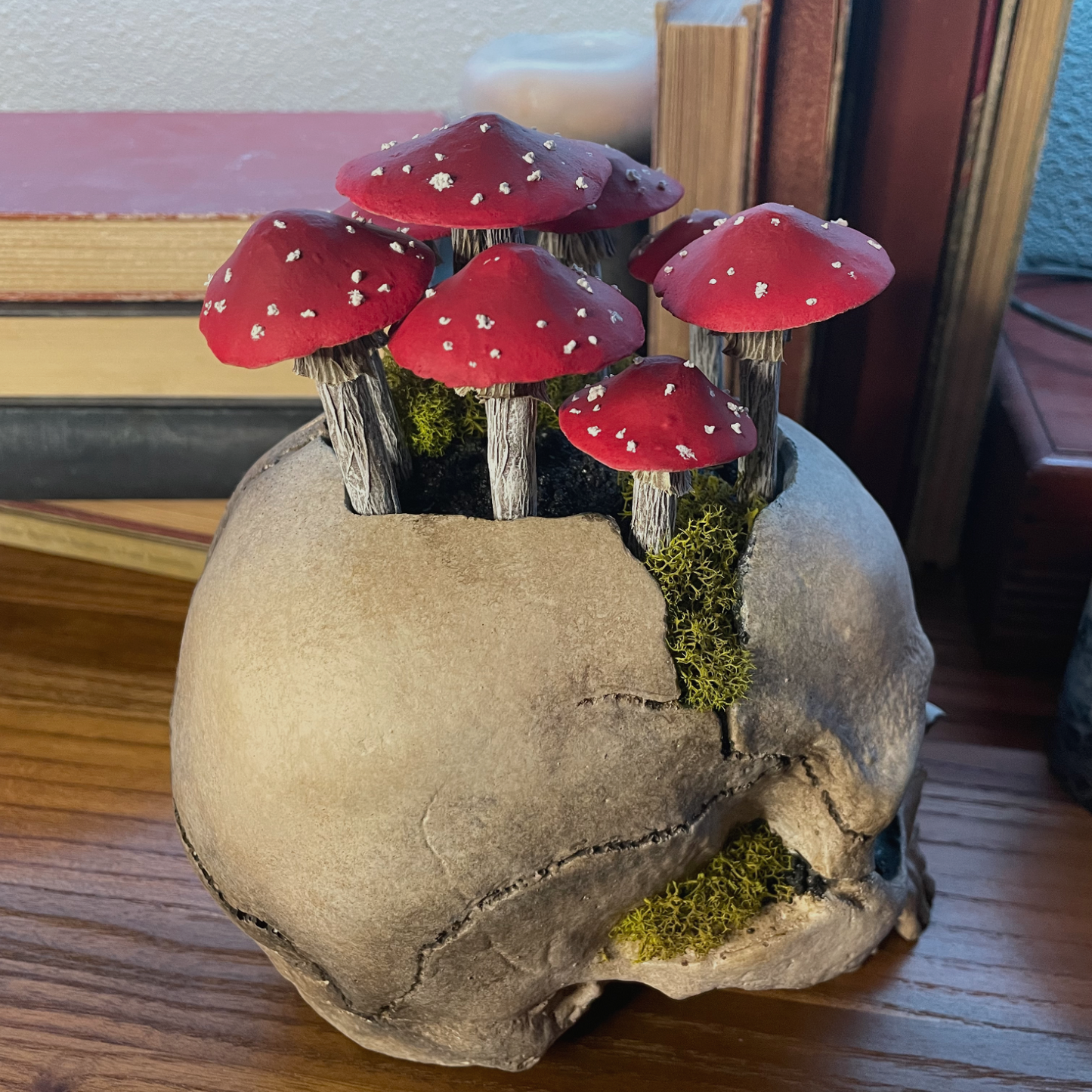 Fungi Fairy Ring Skull [Red]