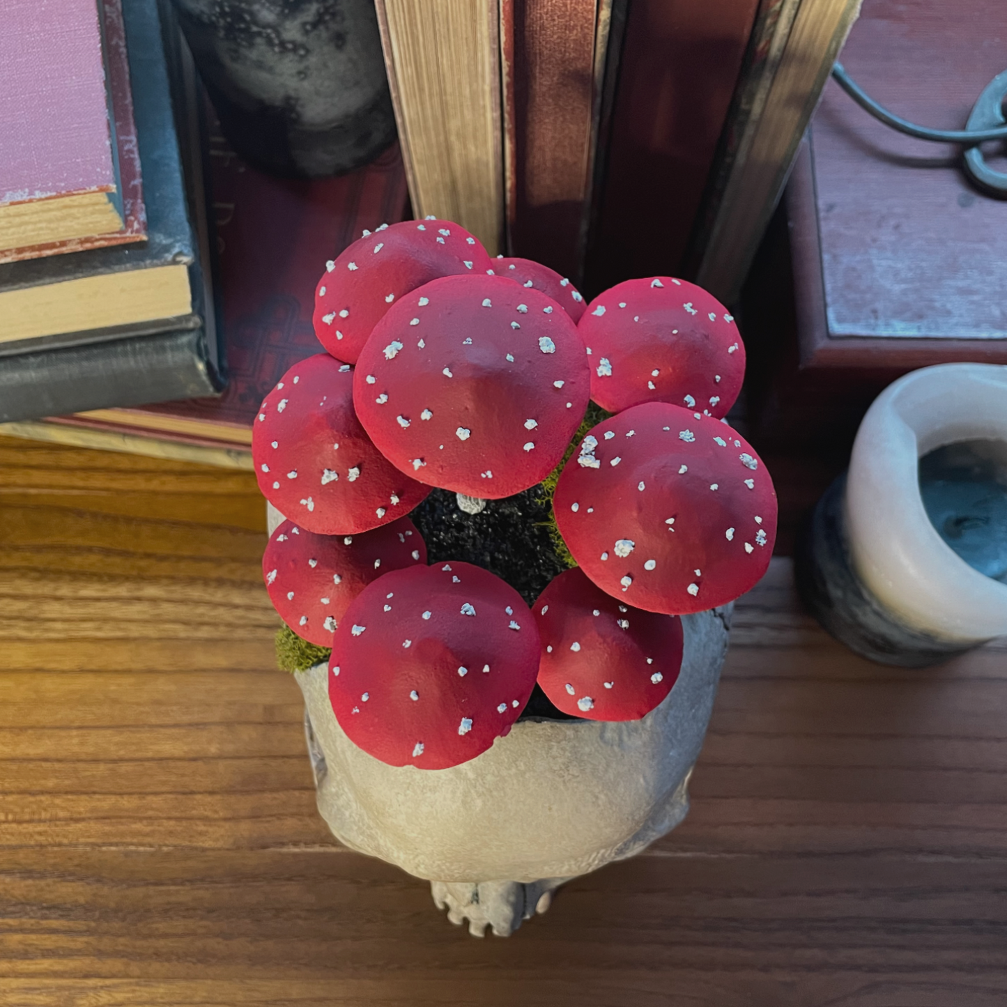 Fungi Fairy Ring Skull [Red]
