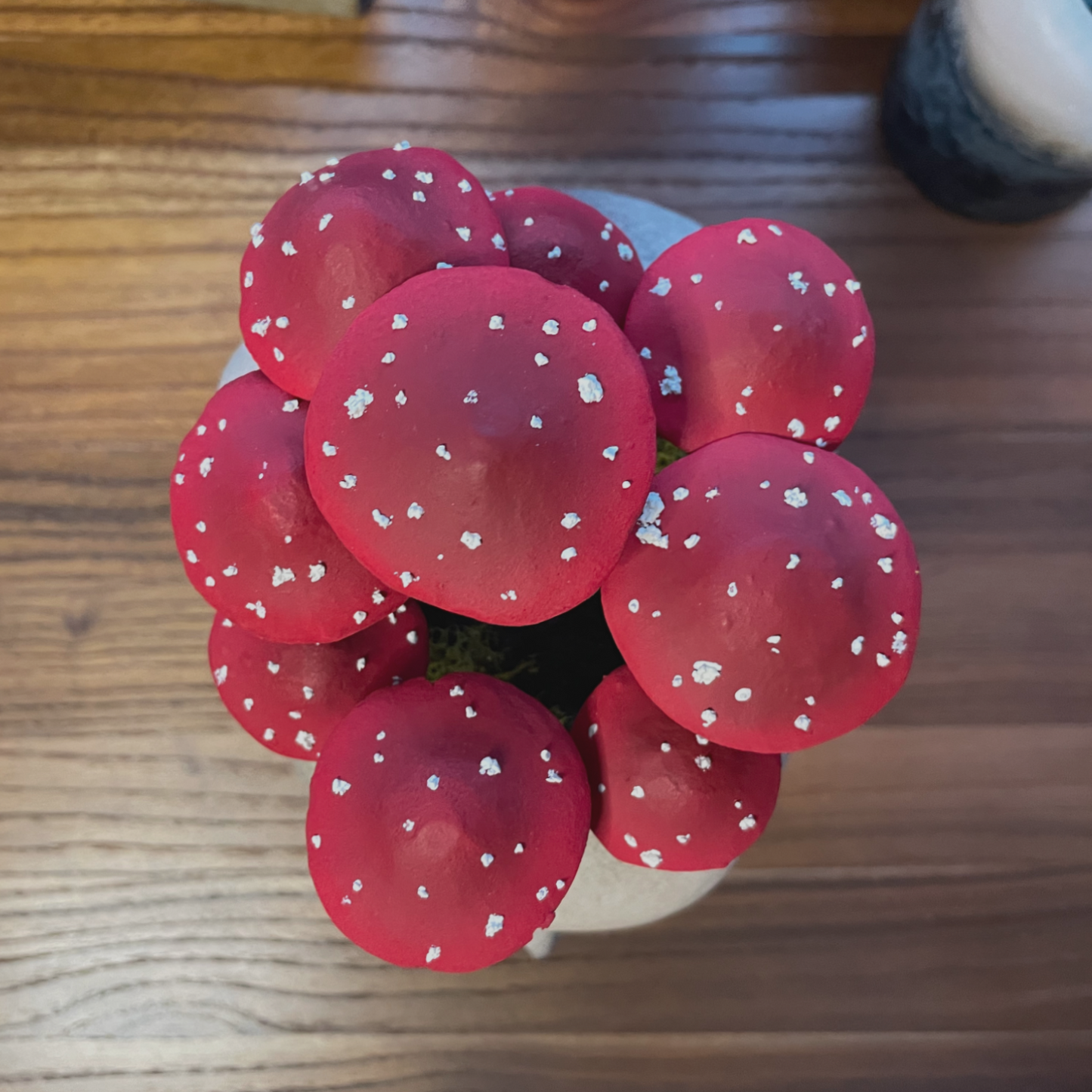 Fungi Fairy Ring Skull [Red]