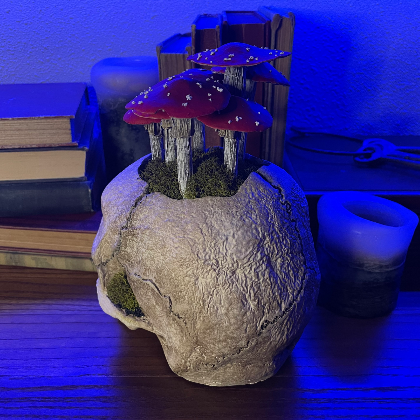 Fungi Skull [Red]