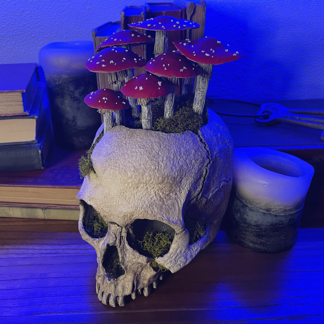 Fungi Skull [Red]
