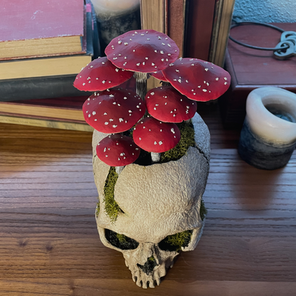 Fungi Skull [Red]