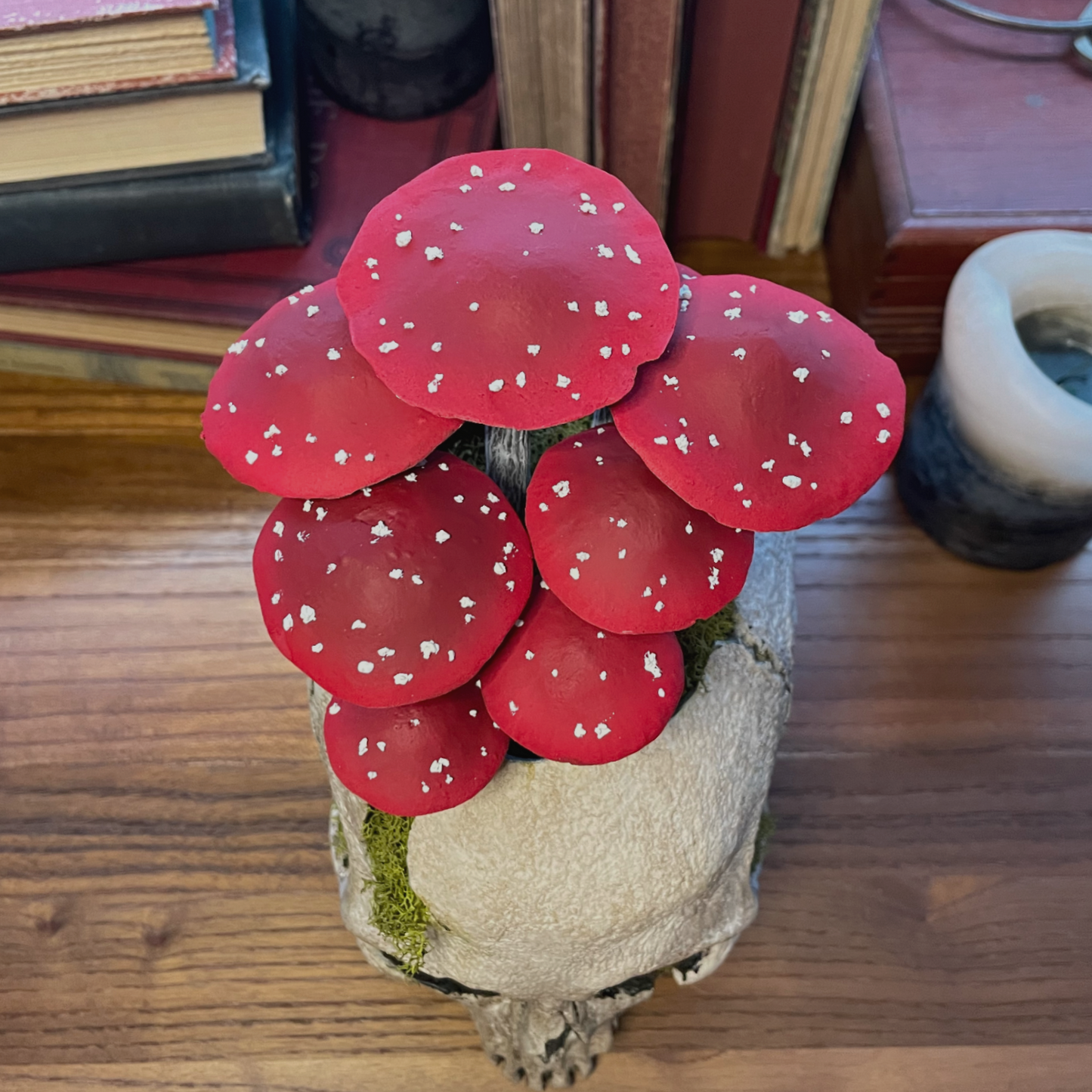 Fungi Skull [Red]