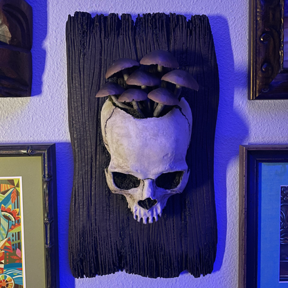 Fungi Skull Plaque [Brown]