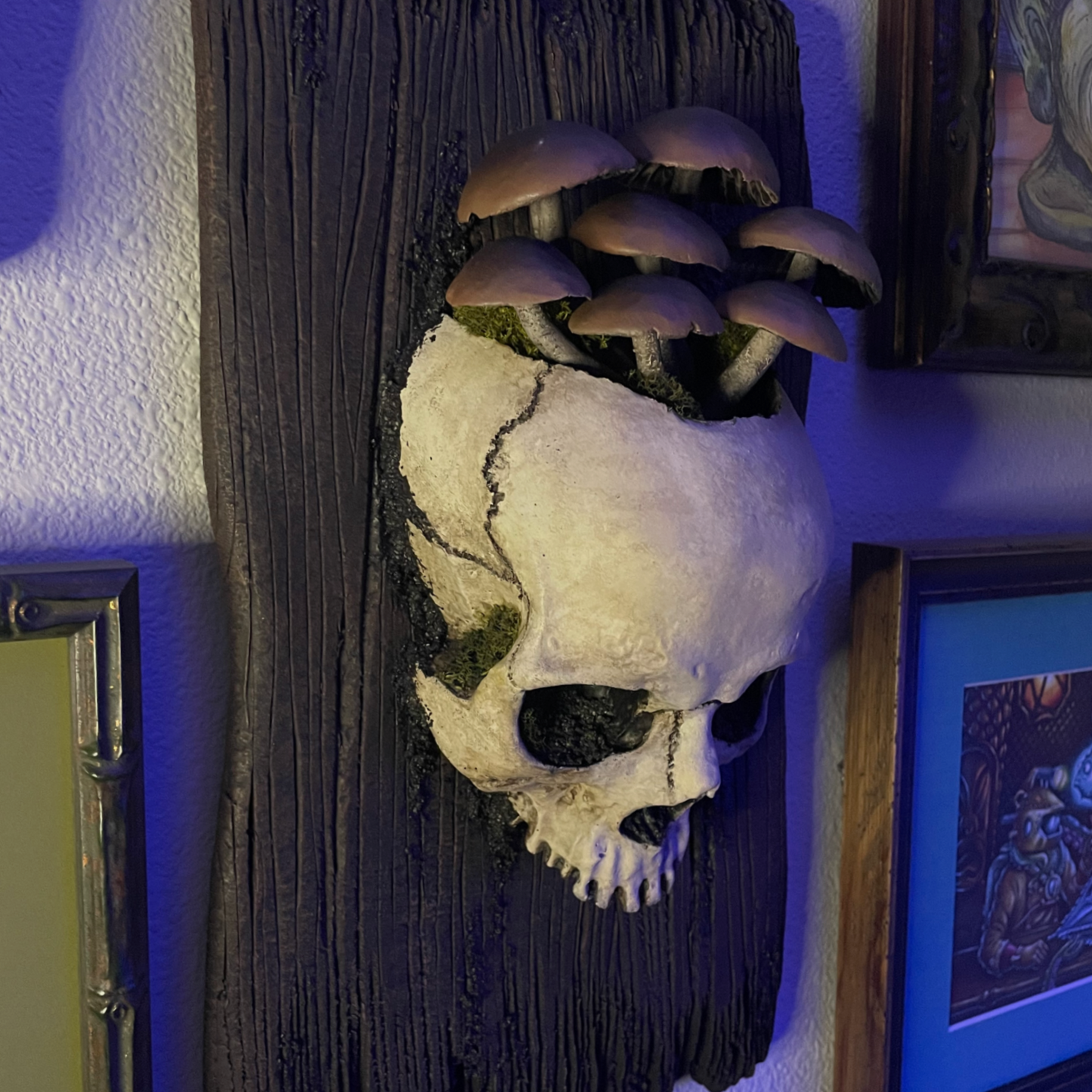 Fungi Skull Plaque [Brown]