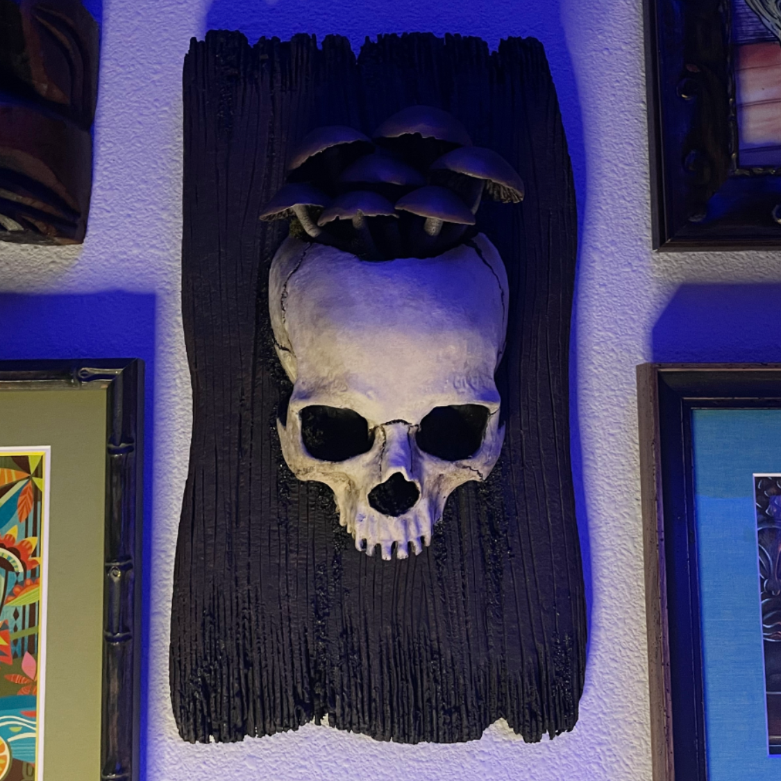 Fungi Skull Plaque [Brown]